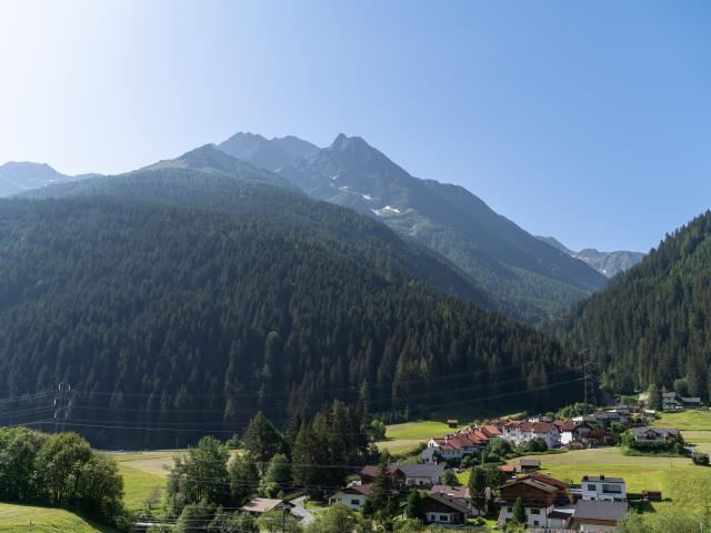 Immediate Surroundings (<1 km)