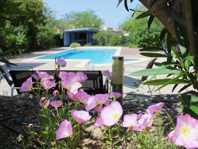 Pool des Ferienhauses