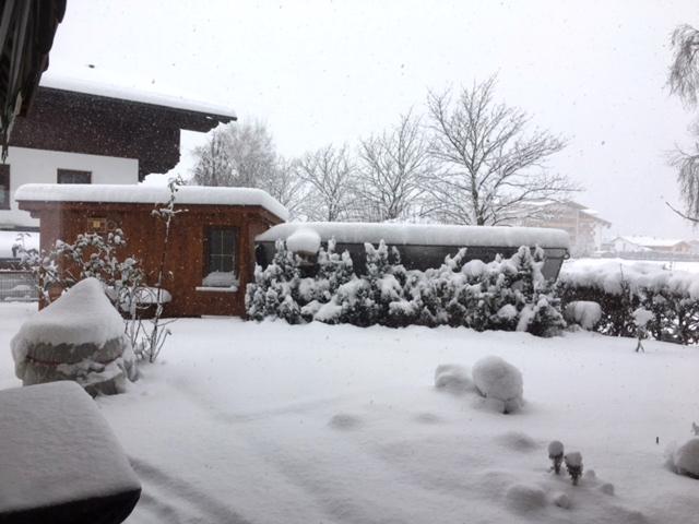 Holiday Home Exterior [winter]