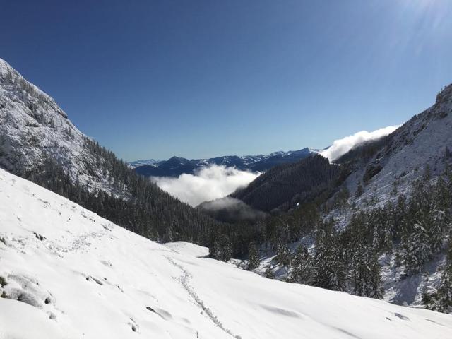 Region [winter] (>5 km)