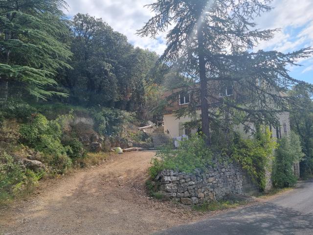 Außenseite Ferienhaus [Sommer]