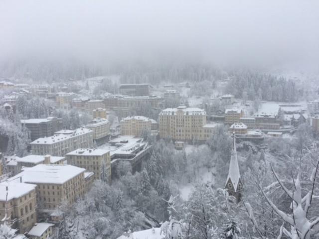 Directe omgeving (<1 km)