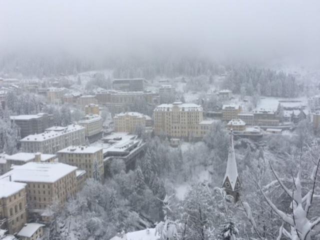 Immediate Surroundings (<1 km)