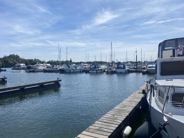 Aussicht vom Ferienhaus [Sommer]