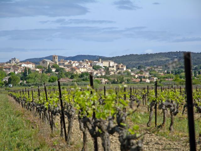 Immediate Surroundings (<1 km)