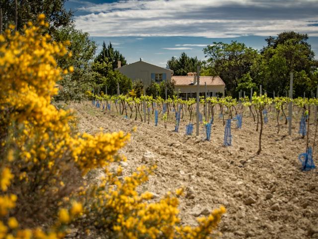 Immediate Surroundings (<1 km)