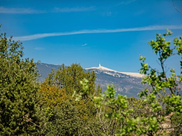 View from Holiday Home