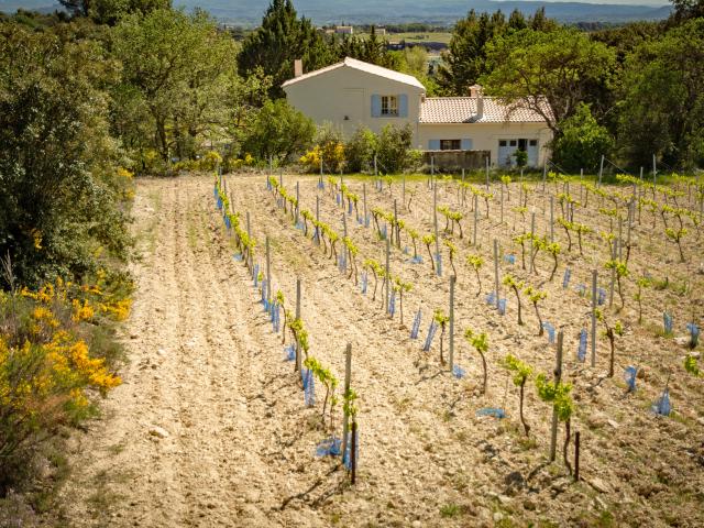 Immediate Surroundings (<1 km)