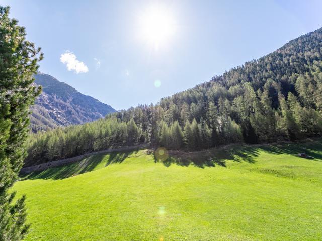 Directe omgeving (<1 km)