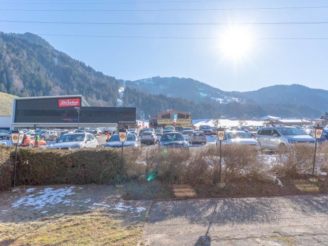 Immediate Surroundings (<1 km)