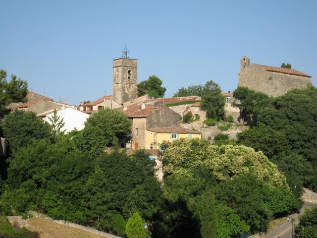 Directe omgeving (<1 km)