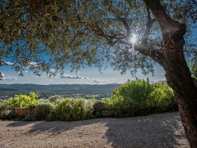 Uitzicht van vakantiehuis