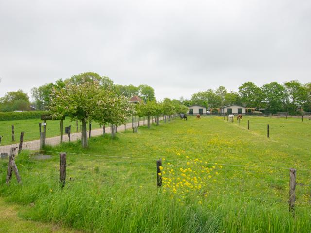 Direkte Umgebung [Sommer] (<1 km)