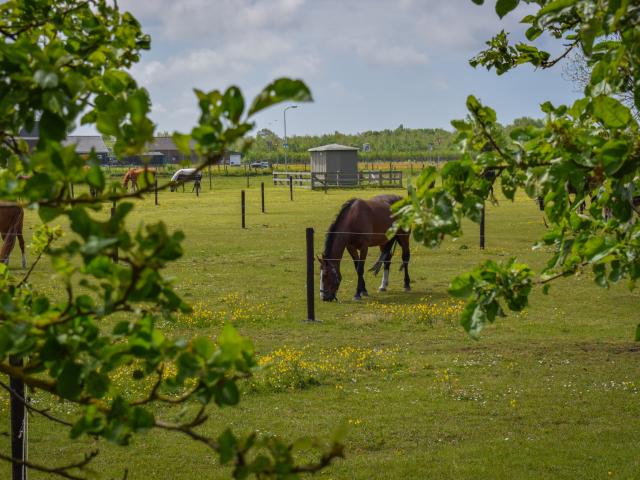 View from Holiday Home [summer]