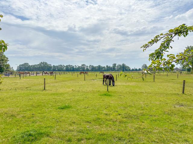 View from Holiday Home [summer]