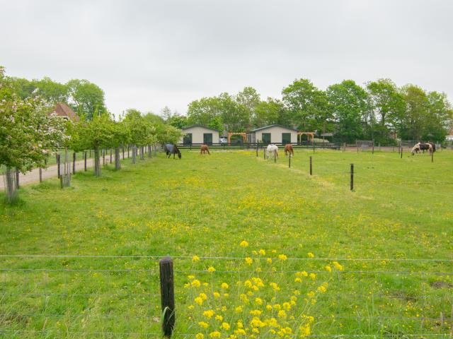 Immediate Surroundings [summer] (<1 km)