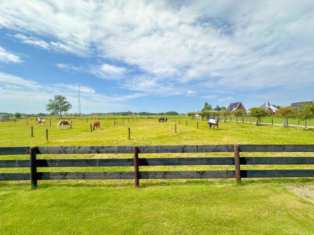 View from Holiday Home [summer]