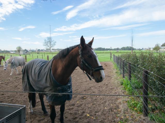 Immediate Surroundings [summer] (<1 km)