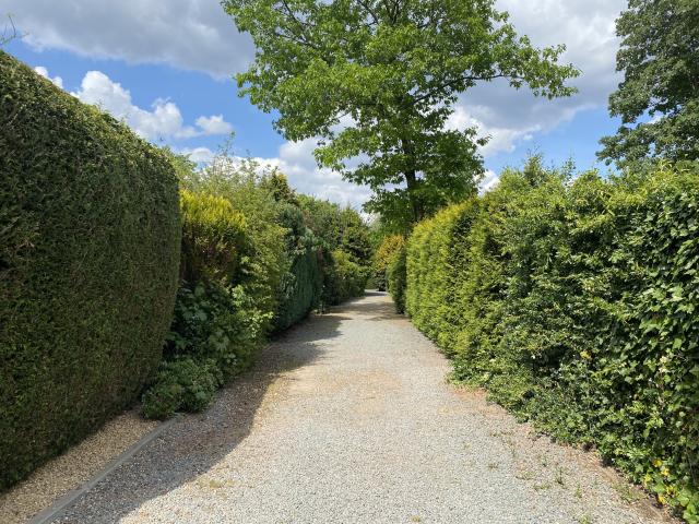 Immediate Surroundings [summer] (<1 km)