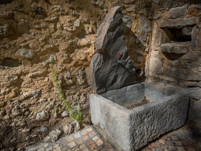 Ambiance / plan rapproché