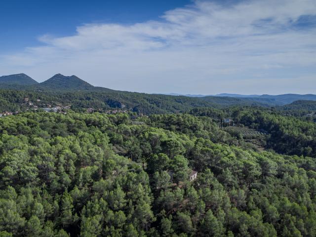 Dans la région (>5 km)