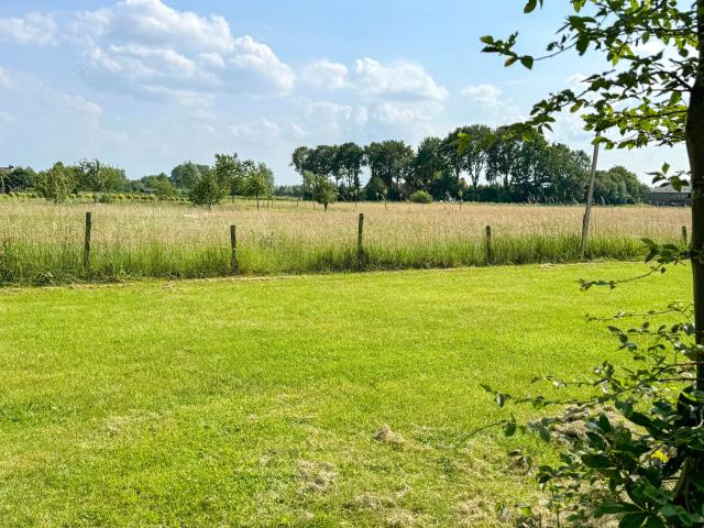 Aussicht vom Ferienhaus [Sommer]