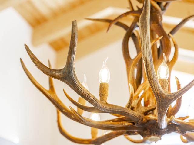 Ambiance / plan rapproché