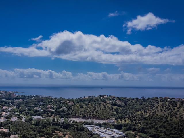 Directe omgeving (<1 km)