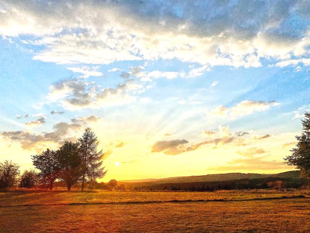 Ambiente / Nahaufnahme