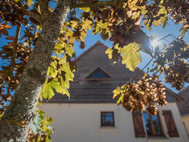 Außenseite Ferienhaus [Sommer]