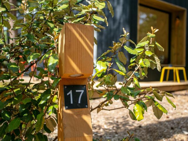 Ambiente / Nahaufnahme