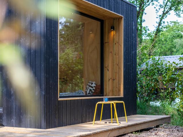 Ambiente / Nahaufnahme