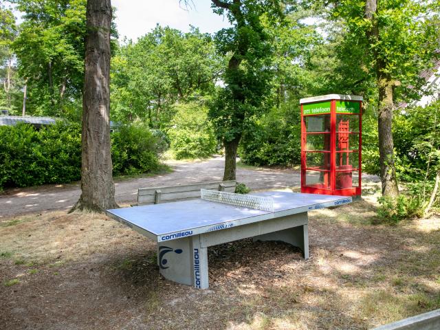 Ausstattung und Service des Ferienparks