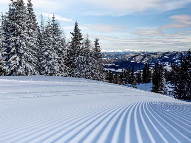 Directe omgeving (<1 km)