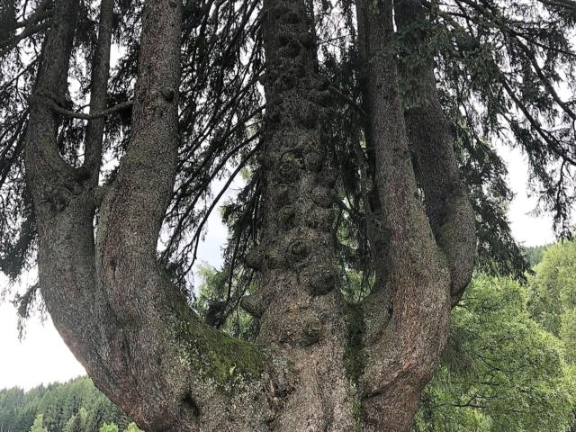 Surroundings (1-5 km)