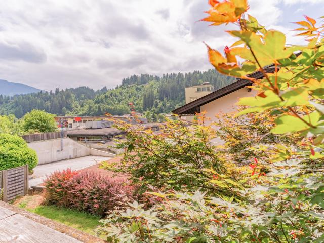 Aussicht vom Ferienhaus