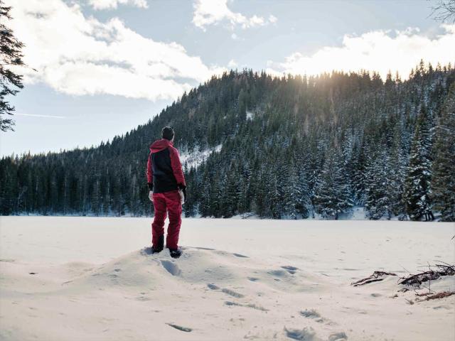 Surroundings (1-5 km)