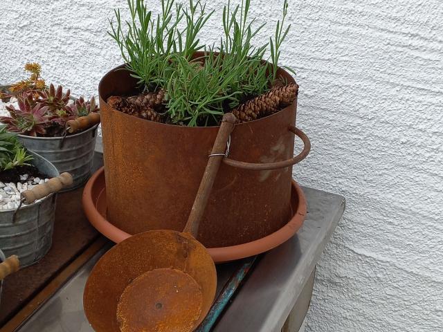 Ambiente / Nahaufnahme