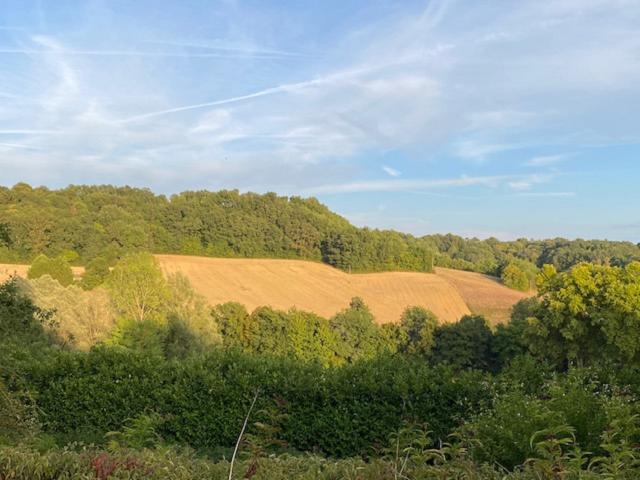 Aussicht vom Ferienhaus