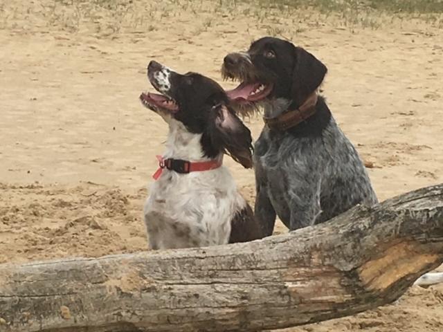 Ambiente / Nahaufnahme