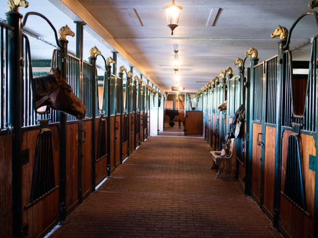 Holiday Park Facilities and Services