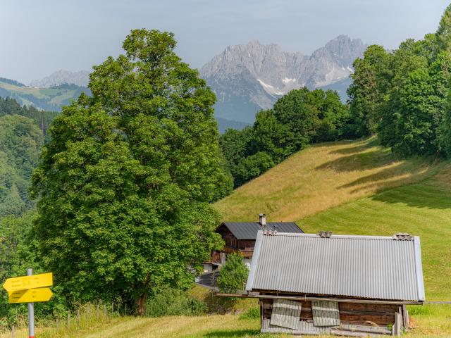 Directe omgeving (<1 km)