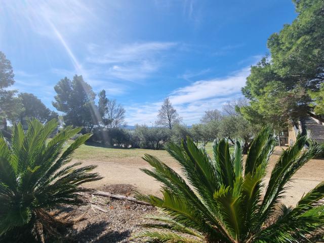 Direkte Umgebung (<1 km)