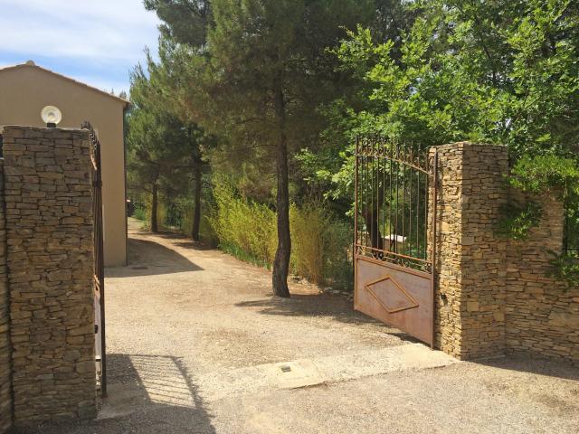 Immediate Surroundings [summer] (<1 km)