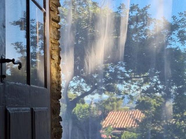 Ambiente / Nahaufnahme