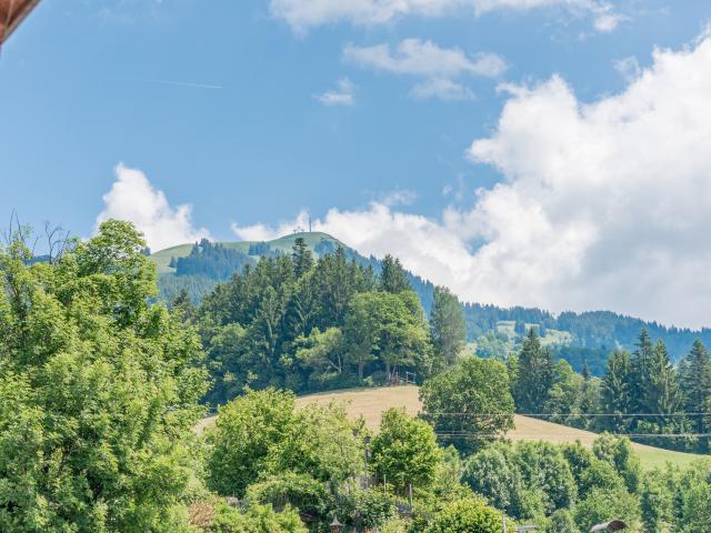 View from Holiday Home [summer]