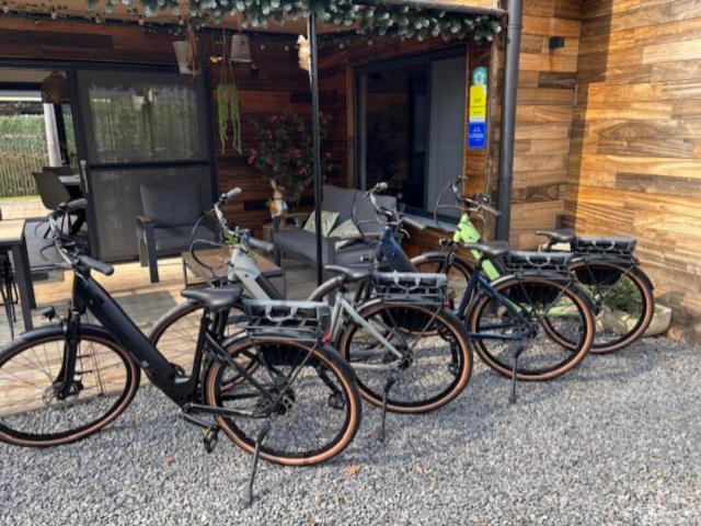 Ausstattung und Service des Ferienhauses