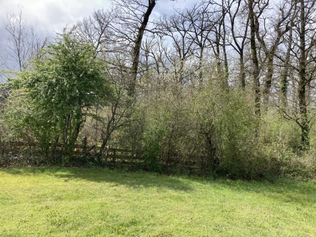 Aussicht vom Ferienhaus [Sommer]