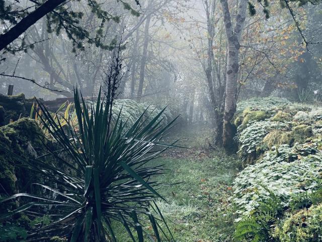 A proximité directe (<1 km)