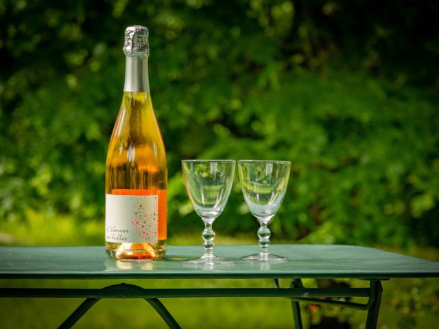 Ambiance / plan rapproché